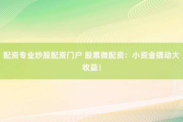 配资专业炒股配资门户 股票微配资：小资金撬动大收益！