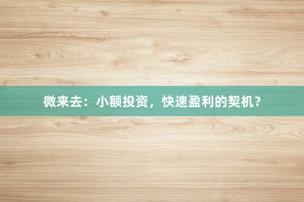微来去：小额投资，快速盈利的契机？