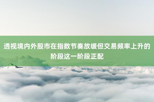 透视境内外股市在指数节奏放缓但交易频率上升的阶段这一阶段正配