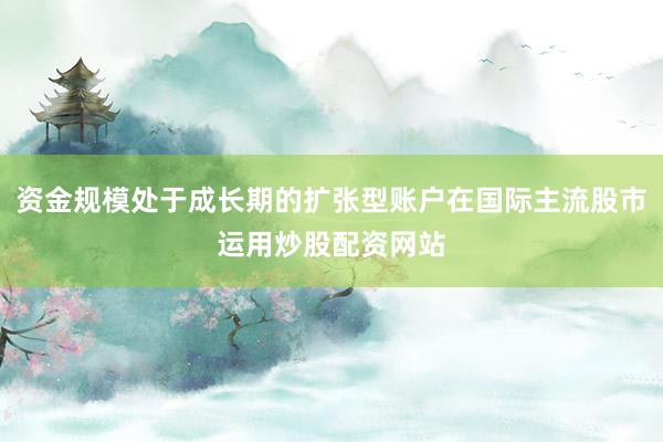 资金规模处于成长期的扩张型账户在国际主流股市运用炒股配资网站