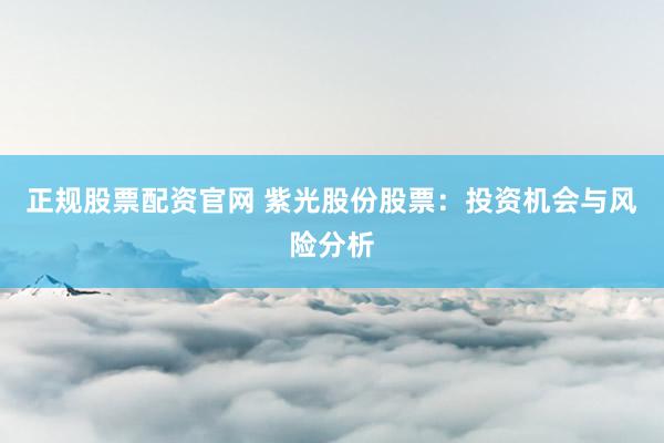 正规股票配资官网 紫光股份股票：投资机会与风险分析