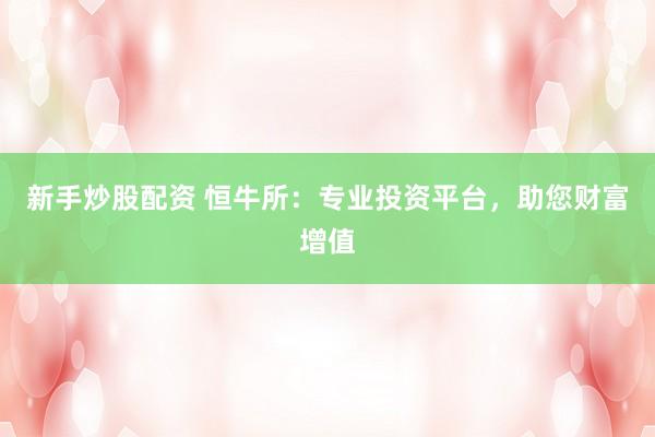 新手炒股配资 恒牛所：专业投资平台，助您财富增值