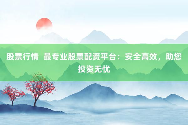 股票行情  最专业股票配资平台：安全高效，助您投资无忧