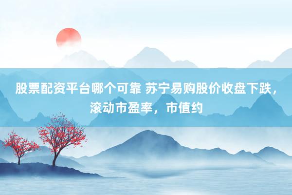 股票配资平台哪个可靠 苏宁易购股价收盘下跌，滚动市盈率，市值约